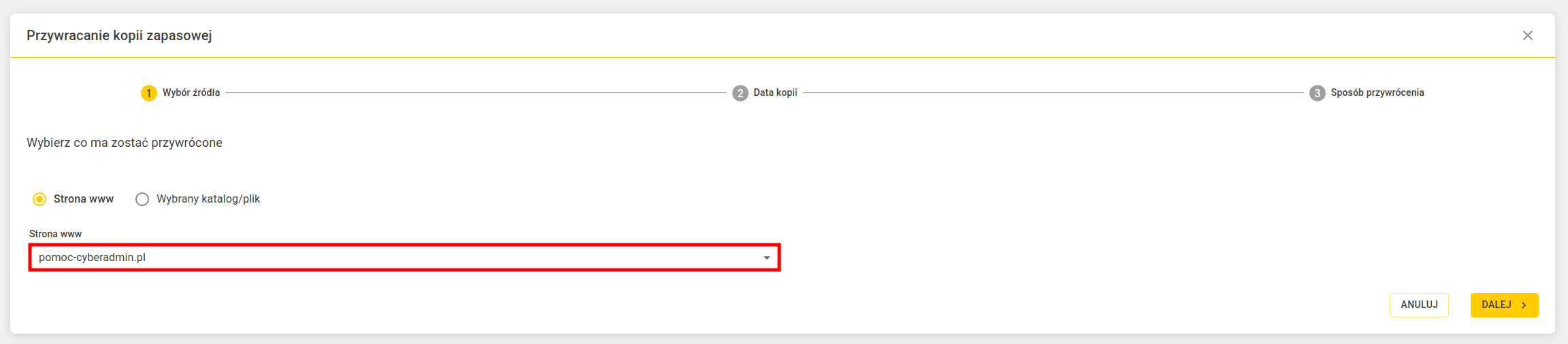 Kreator przywracania kopii zapasowej WWW w cyber_Admin – wybór źródła z zaznaczoną opcją Strona www i wybraną domeną