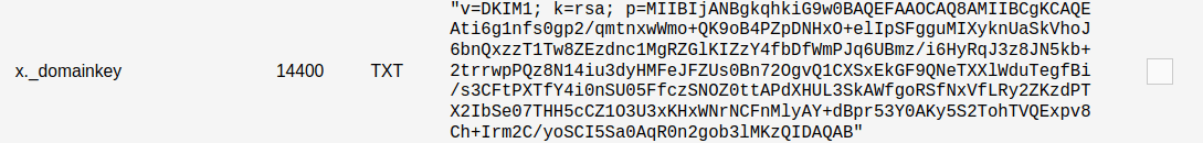 Przykładowy wpis rekordu TXT x._domainkey z pełną wartością klucza DKIM w edycji strefy DNS