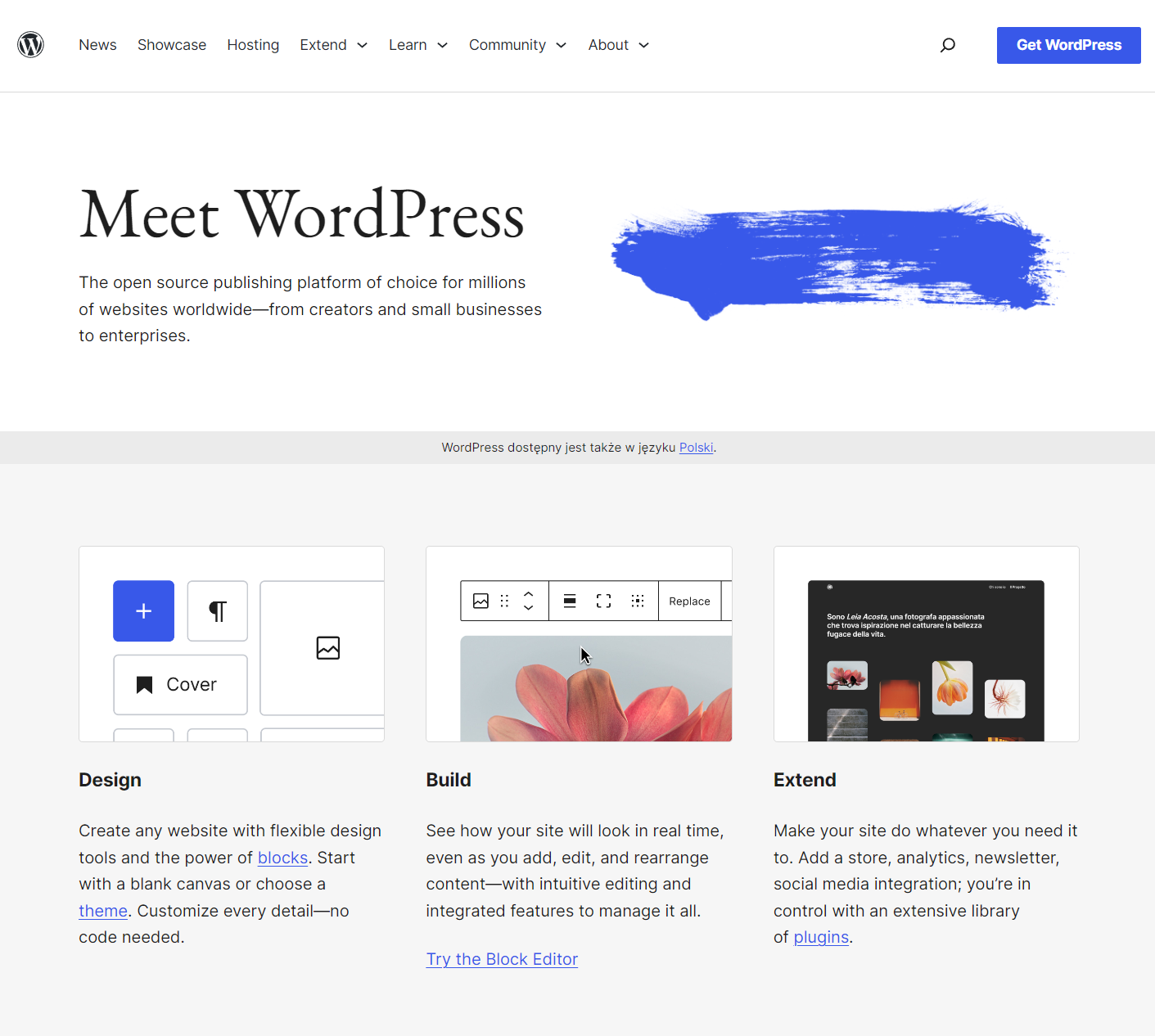 WordPress cms - wygląd