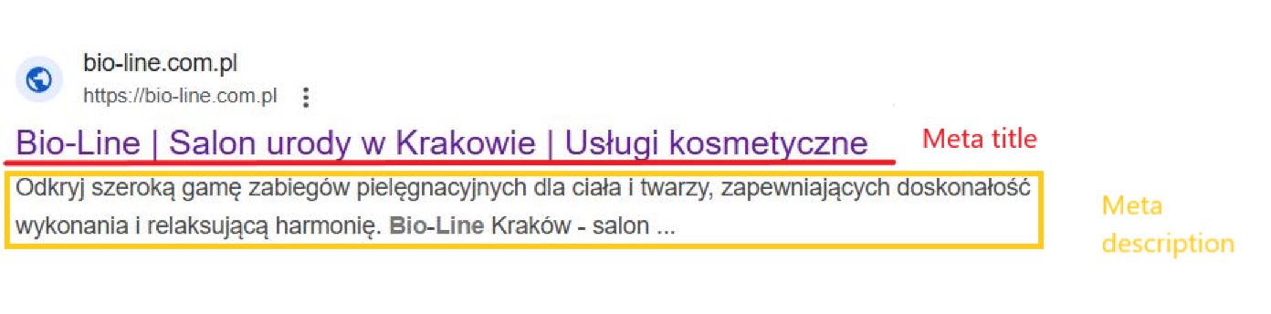Meta tagi strony - meta title i meta description