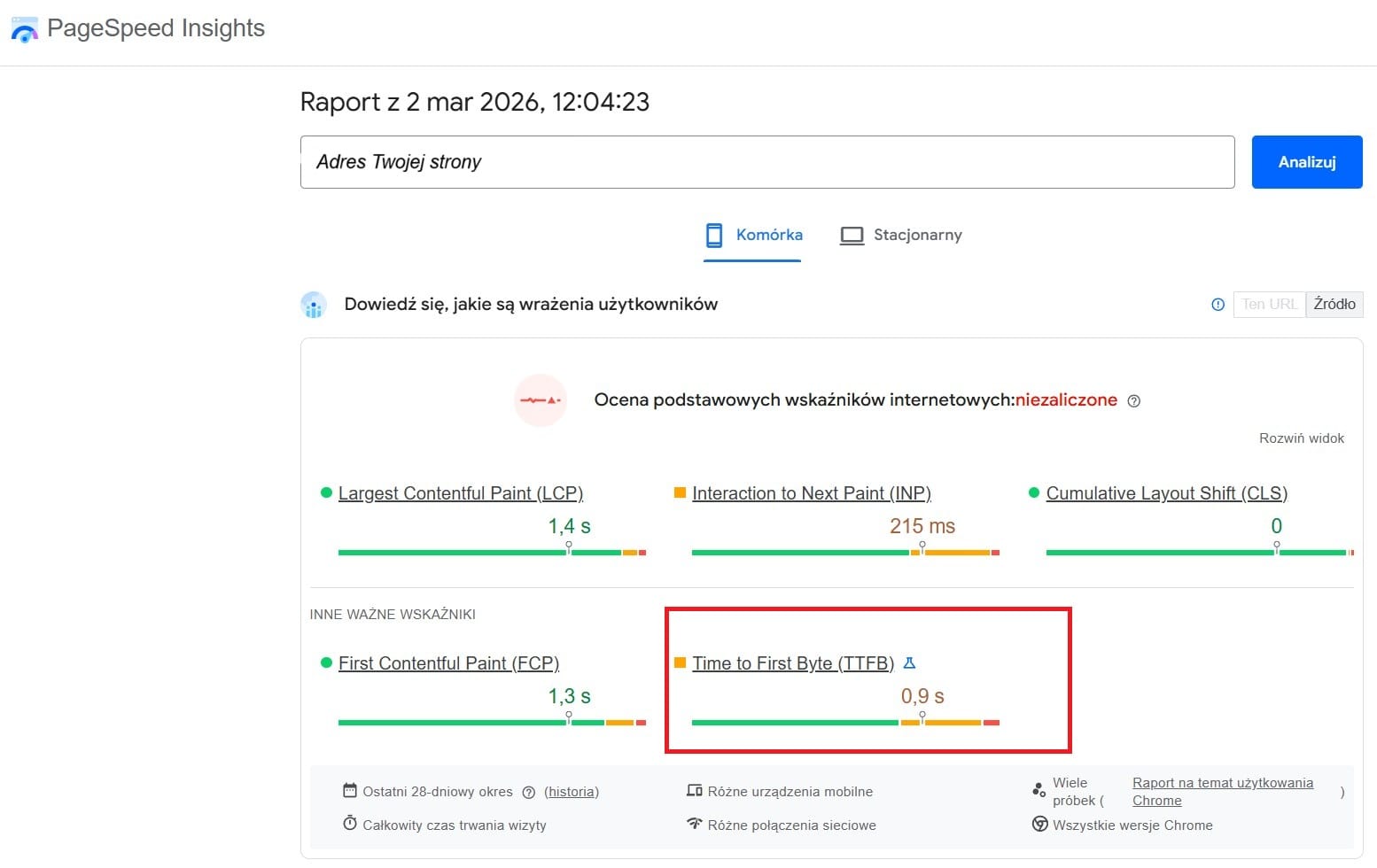 Wyniki dla strony. Narzędzie PageSpeed Insight