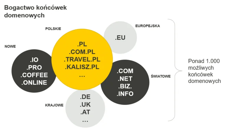 Bogactwo końcówek domenowych. Rodzaje domen. Domeny polskie, nowe, światowe, krajowe i europejska