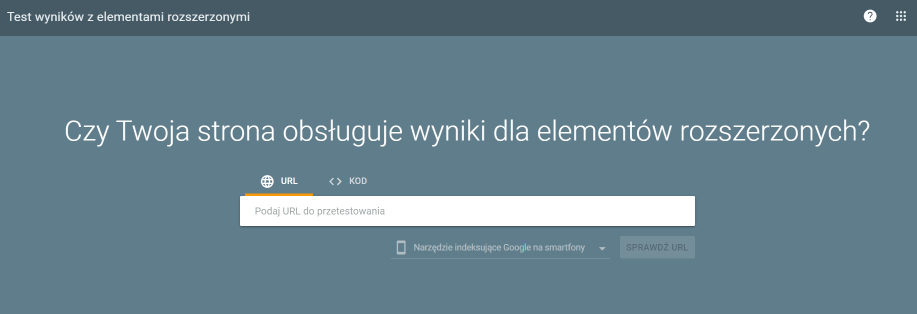 Screen z narzędzia Rich Result Test