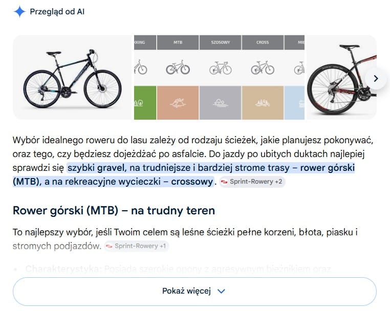 Przykład AI Overview dla frazy: rower do jazdy w lesie