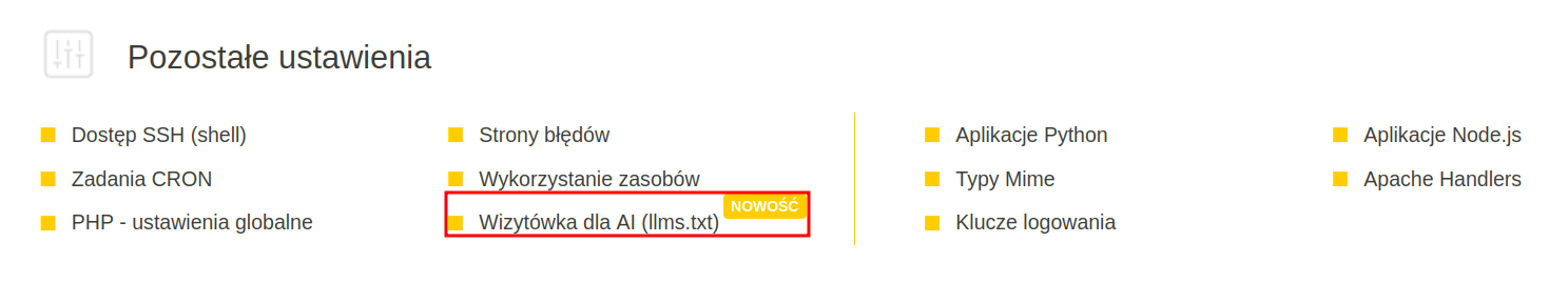 Zakładka Pozostałe ustawienia w panelu direct_Admin z przyciskiem Wizytówka dla AI (llms.txt) oznaczonym etykietą NOWOŚĆ